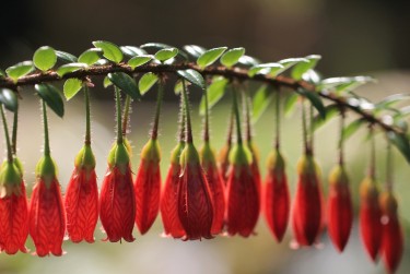 广州白云区2私人快速借钱网，轻松解决资金难题