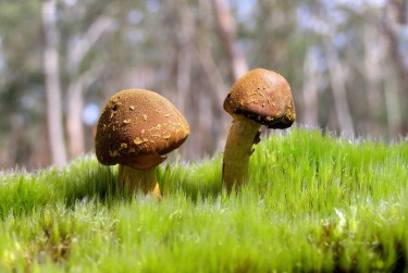 广州白云区2私人老板放款：轻松融资的秘密通道